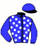 casaque portée par Dominois Mlle P. jockey du cheval de course VATOHIO (FR), information pmu ZETURF