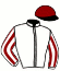 casaque portée par Stromboni T. jockey du cheval de course CALL GREGORIUM (FR), information pmu ZETURF