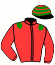 casaque portée par Girard F. jockey du cheval de course SAALUSTE (FR), information pmu ZETURF