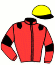 casaque portée par Desoutter Mlle N. jockey du cheval de course FEU FOLLET (FR), information pmu ZETURF