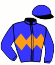 casaque portée par Dubourg P. jockey du cheval de course KING ELVIS (FR), information pmu ZETURF