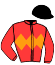 casaque portée par Dominois Mlle P. jockey du cheval de course GOLDEN WITCH (FR), information pmu ZETURF
