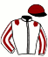 casaque portée par Da Silva J. jockey du cheval de course KARUSO DE GRUCHY (FR), information pmu ZETURF