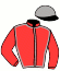 casaque portée par De Chitray A. jockey du cheval de course MANHATTAN GARDEN (FR), information pmu ZETURF