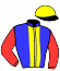 casaque portée par Re G. jockey du cheval de course HEOLE BLACK (AQ), information pmu ZETURF