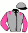 casaque portée par Girard F. jockey du cheval de course GENTLEMAN RIDER (FR), information pmu ZETURF