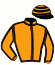casaque portée par Re G. jockey du cheval de course FINAGE (AQ), information pmu ZETURF