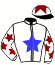 casaque portée par Rame M. jockey du cheval de course FURIMIX (FR), information pmu ZETURF