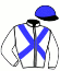 casaque portée par Desoutter Mlle N. jockey du cheval de course ZEPLY (FR), information pmu ZETURF