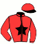 casaque portée par Dubourg P. jockey du cheval de course SPINOZZAR (FR), information pmu ZETURF