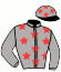 casaque portée par Metivier E. jockey du cheval de course IDYLLE SECRETE (FR), information pmu ZETURF