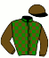 casaque portée par Regairaz M. jockey du cheval de course KAJAANI (FR), information pmu ZETURF