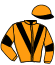 casaque portée par Bonnet E. jockey du cheval de course KINGNOISE (FR), information pmu ZETURF