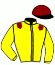 casaque portée par Bureller E. jockey du cheval de course MAGIC BREIZH (FR), information pmu ZETURF