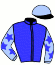 casaque portée par De Giles F. jockey du cheval de course SAINT XAVIER, information pmu ZETURF
