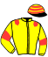 casaque portée par Renard A. jockey du cheval de course FARICKLY (FR), information pmu ZETURF