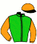casaque portée par Meunier Gab. jockey du cheval de course INDIAN SONG (FR), information pmu ZETURF