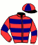casaque portée par Besson F. jockey du cheval de course CHATAIGNIER, information pmu ZETURF