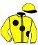 casaque portée par Plassard J. jockey du cheval de course APROXIMATELY (FR), information pmu ZETURF