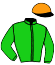casaque portée par Re G. jockey du cheval de course SAINT LANGIS, information pmu ZETURF