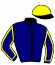 casaque portée par Farcinade M. jockey du cheval de course GOLLIATH, information pmu ZETURF