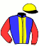 casaque portée par Re G. jockey du cheval de course HEOLE BLACK (AQ), information pmu ZETURF casaque portée par Re G. jockey du cheval de course HEOLE BLACK (AQ), information pmu ZETURF