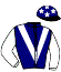 casaque portée par Riou C. jockey du cheval de course HALEXANDRE MOME, information pmu ZETURF