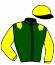 casaque portée par Gauffenic N. jockey du cheval de course DINOZAURE, information pmu ZETURF