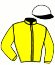 casaque portée par Davodi A. jockey du cheval de course TRIPLE ALLIANCE, information pmu ZETURF