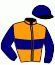 casaque portée par Grondin Pie. A. jockey du cheval de course RHONE, information pmu ZETURF