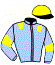 casaque portée par De Chitray A. jockey du cheval de course INDIVIS, information pmu ZETURF