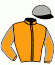 casaque portée par Howie N. jockey du cheval de course HEXTRAWEL DU PORTO, information pmu ZETURF