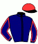 casaque portée par Rame M. jockey du cheval de course MANZON, information pmu ZETURF