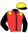 casaque portée par Mayeur R. jockey du cheval de course GRAZANO, information pmu ZETURF