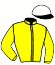 casaque portée par Philipperon L. jockey du cheval de course CHICHI DE LA VEGA, information pmu ZETURF casaque portée par Philipperon L. jockey du cheval de course CHICHI DE LA VEGA, information pmu ZETURF