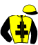casaque portée par Riou C. jockey du cheval de course ROI D'OUDALLE, information pmu ZETURF