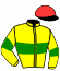 casaque portée par Richard G. jockey du cheval de course LES CERFS VOLANTS, information pmu ZETURF