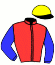 casaque portée par Ubeda D. jockey du cheval de course MOTU FAREONE, information pmu ZETURF