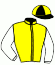 casaque portée par Faivre-picon G. jockey du cheval de course JOLIBOIS, information pmu ZETURF