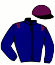 casaque portée par Non Partant jockey du cheval de course COMANN, information pmu ZETURF