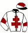casaque portée par Riou C. jockey du cheval de course MISHKA DES MOTTES, information pmu ZETURF