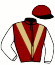 casaque portée par De Chitray A. jockey du cheval de course IRIS DE GRUGY, information pmu ZETURF