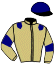 casaque portée par Ferreira N. jockey du cheval de course HOPLABOUM, information pmu ZETURF