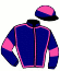 casaque portée par Andrieux T. jockey du cheval de course SOUTH LODGE, information pmu ZETURF