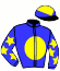 casaque portée par Da Silva Jér. jockey du cheval de course HIPSTER PARADISE, information pmu ZETURF