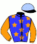 casaque portée par Bertin W. jockey du cheval de course JONCA DE THAIX, information pmu ZETURF