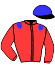 casaque portée par Philipperon L. jockey du cheval de course ROYAL MOON, information pmu ZETURF