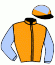 casaque portée par Nabet K. jockey du cheval de course GINJA DES TAILLONS, information pmu ZETURF