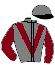 casaque portée par Philipperon L. jockey du cheval de course SPIRIT OF THE MOON, information pmu ZETURF