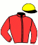 casaque portée par Zuliani A. jockey du cheval de course THEAMOI, information pmu ZETURF